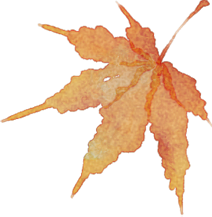 05d2784c-25c4-4adf-8bae-45583b7b6e10