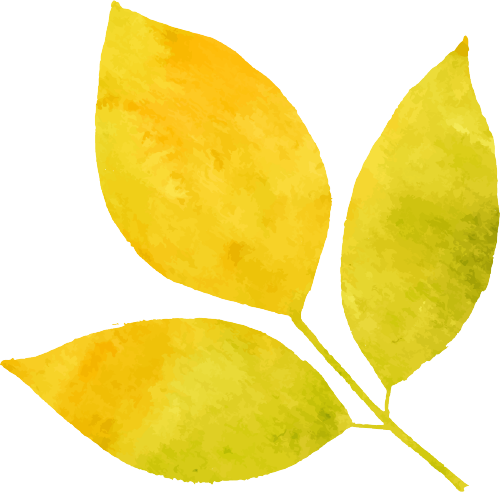 eaf9f2f7-97e3-4955-b4ba-cb04df3765ac